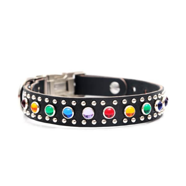 Bart Multi colored Rainbow studded leather collar side