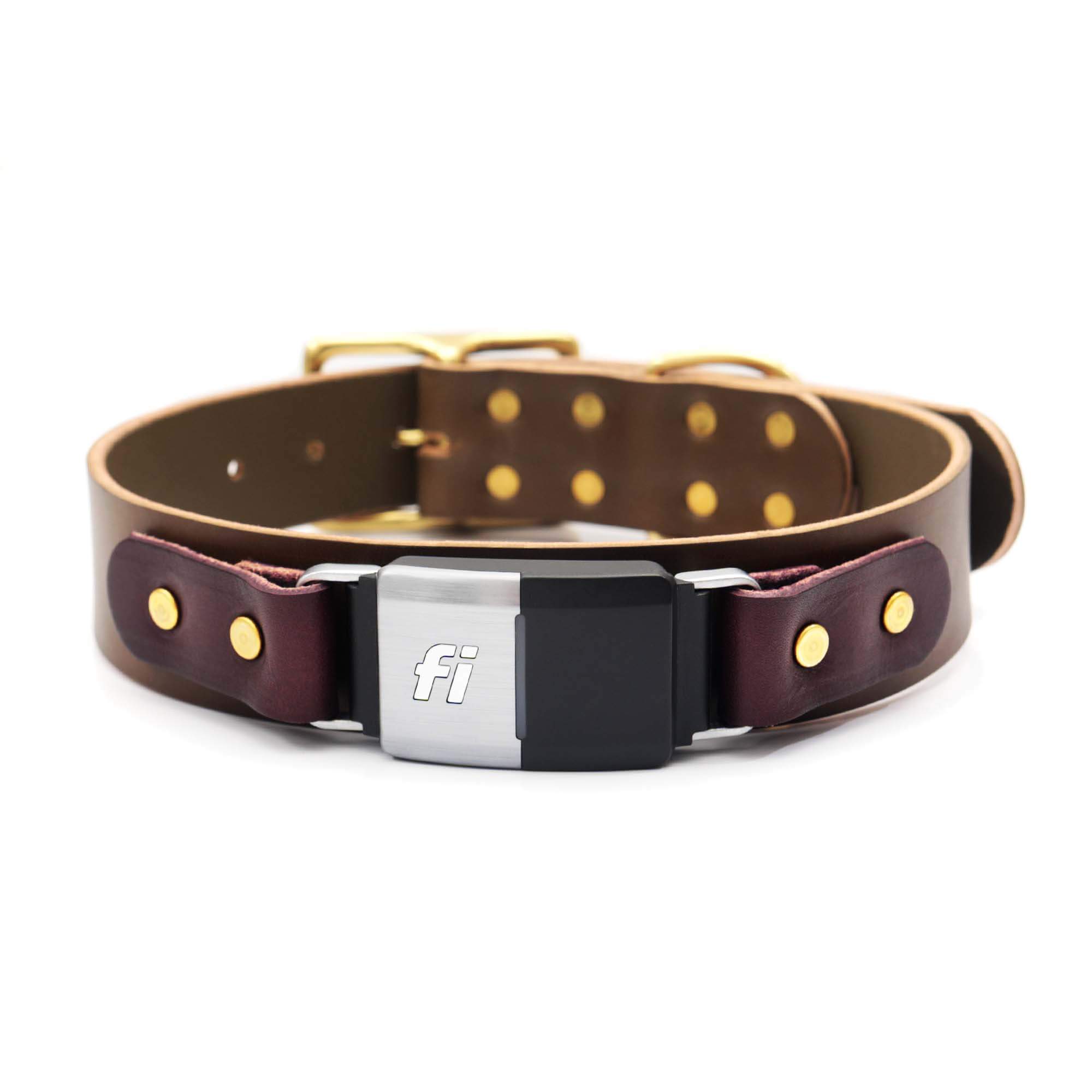 Leather dog collar with gold nameplate sale