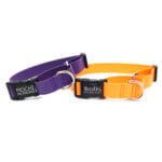 Lightweight Biothane Waterproof Martingale Dog Collar with Engraved Buckle - The Day Trip Collection