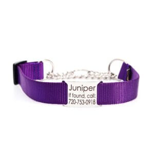 dark purple nylon martingale chain collar
