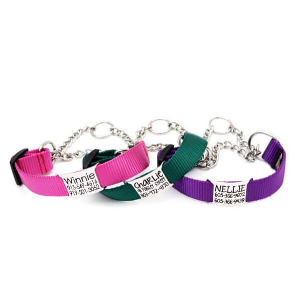 nylon martingale chain collar