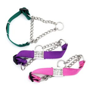 nylon martingale chain dog collar