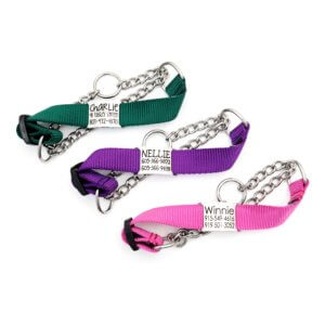nylon martingale chain dog collar
