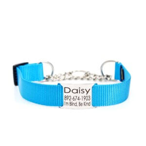 peacock nylon martingale chain collar