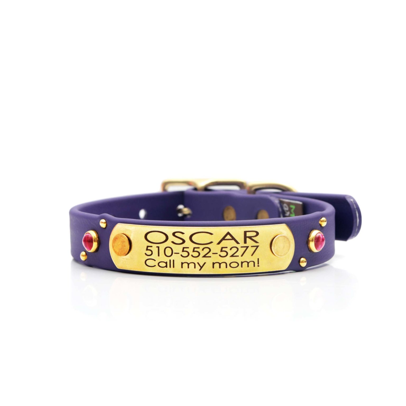Waterproof Studded Dog Collar with Riveted Nameplate Comet