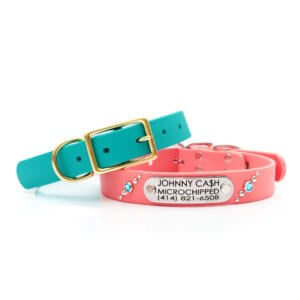 Studded Waterproof Name Plate Dog Collar