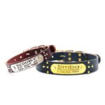Leather Dog Collar with Studs and Personalized Riveted Nameplate - Ace