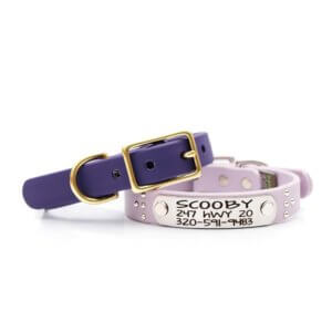 Ace Studded Waterproof dog collar Stack purple