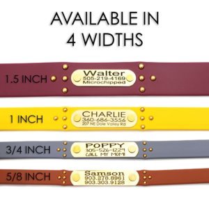 Ace Studded Waterproof Widths chart