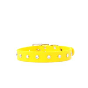 yellow studded waterproof dog collar