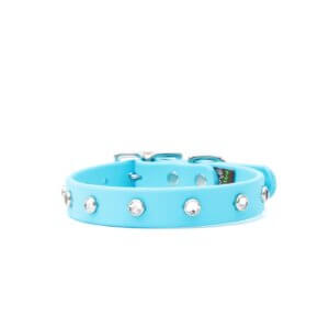 studded dog collar 3/4