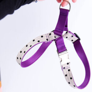 Dottie Canvas Dog Harness Easy On