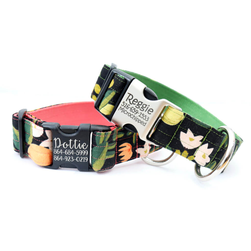 Olea wide engraved dog collar for big dogs