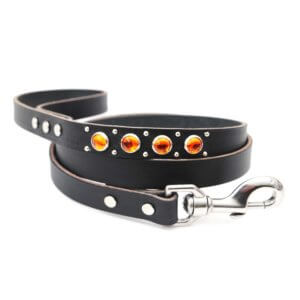 black leather durango kid leash