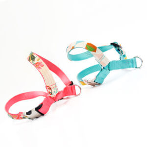canvas dog harnesses designer