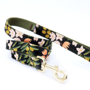canvas dog leash rifle paper olea