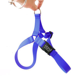 Waterproof Dog Harnesses