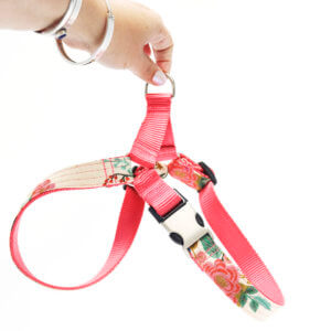 floral rifle paper co dog harness