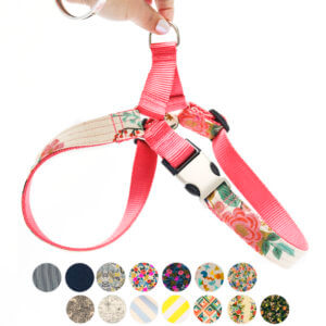 floral rifle paper co dog harness MAIN