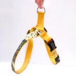 Easy On Canvas Dog Harness - Dandelion Floral