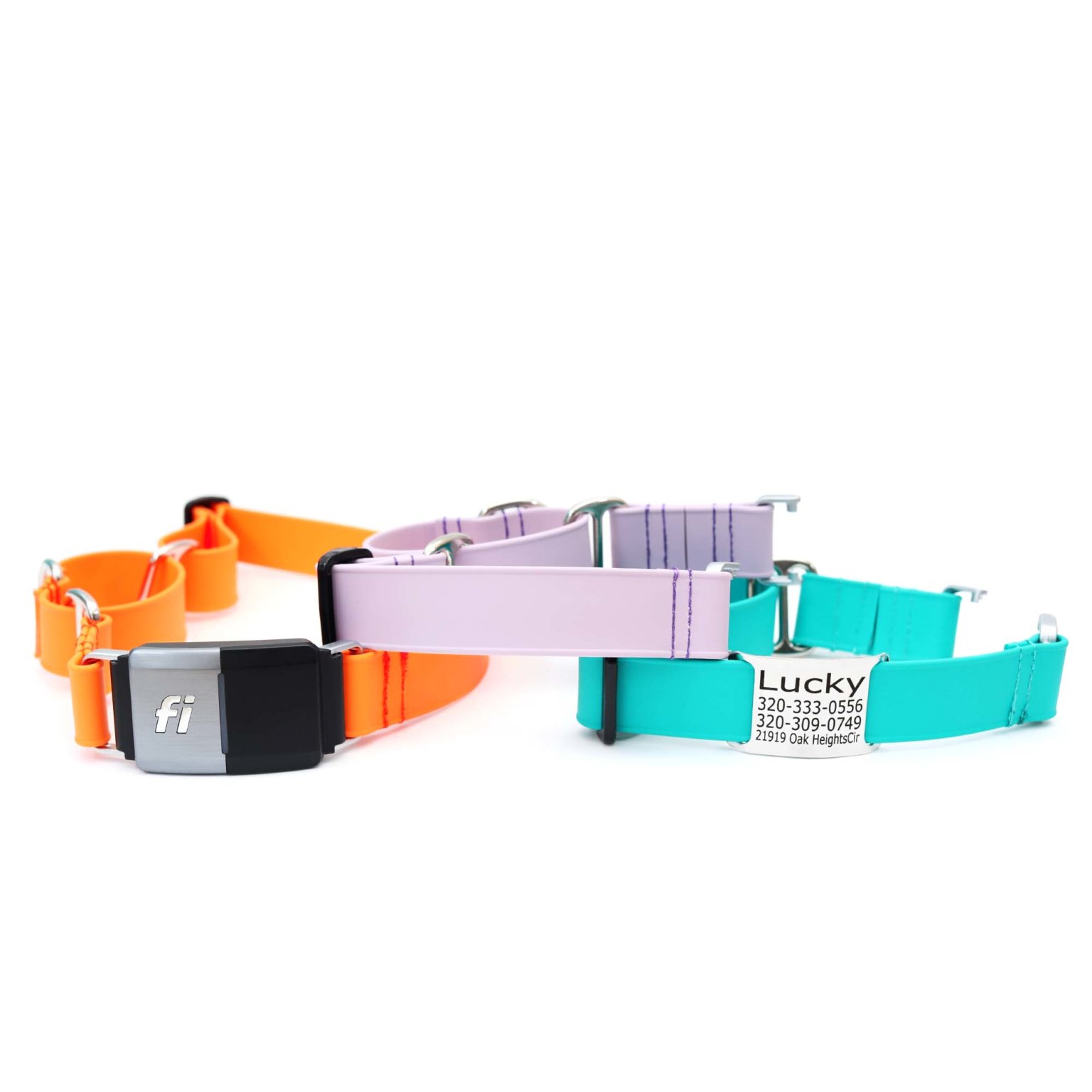 Fi Compatible Lightweight Biothane Waterproof Martingale Dog Collar