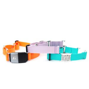 fi martingales name plate biothane lightweight