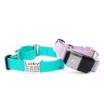 Fi Compatible Martingale Dog Collar - Lightweight Waterproof Biothane with Optional Engraved Name Plate