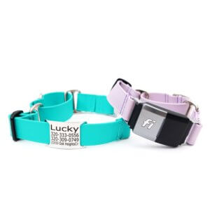 flat, quick release, martingale, & waterproof collars - Furchild