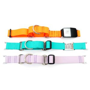 Fi Daytrip Martingale lightweight biothane