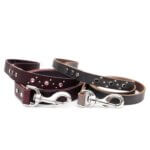 Studded Leather Dog Leashes - Comet