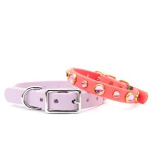 pink waterproof studded dolly dog collar coral
