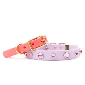 pink waterproof studded dolly dog collar pastel