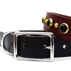 black studded leather dog collar johnny detail