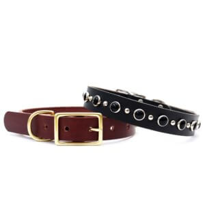black studded leather dog collar johnny