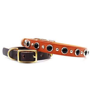 leather black gem studded collar johnny