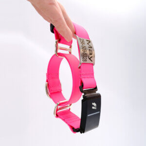 lightweight fi 3 martingale nameplate