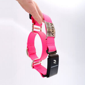 lightweight fi 3 martingale nameplate