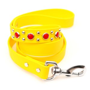 Durango Kid Leash