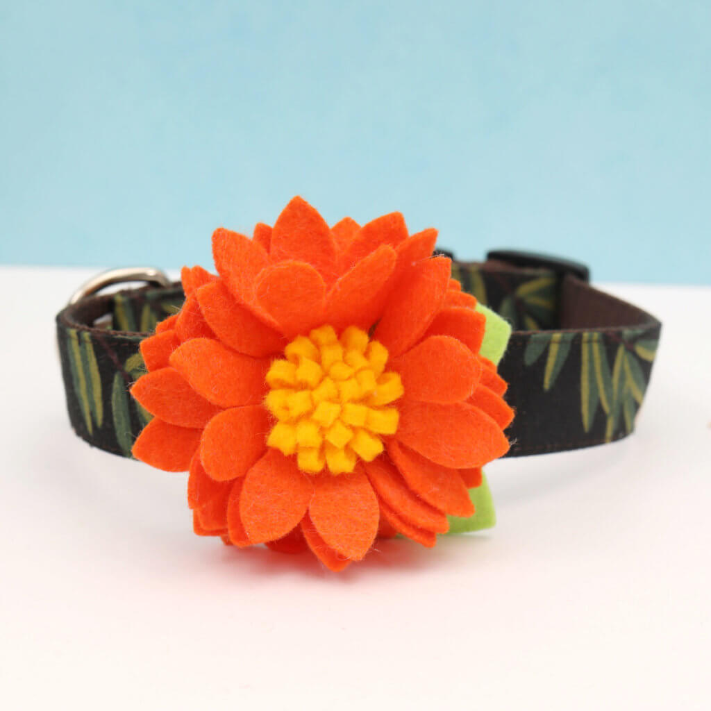 lotus dog collar flower orange