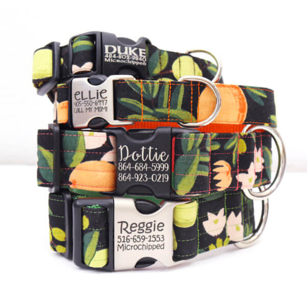 olea canvas dog collars engraved rifle paper co