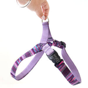 purple native print dog harness concha