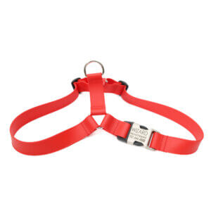 red lightweight waterproof easy on harness