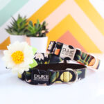 'Olea' Rifle Paper Co. Pattern Fruit & Floral Dog Collar - Laser Engraved Buckle