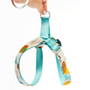 slater boy dog canvas harness