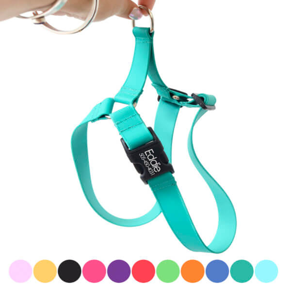 teal biothane dog harness main