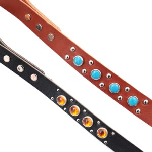 top view durango kid leash leather