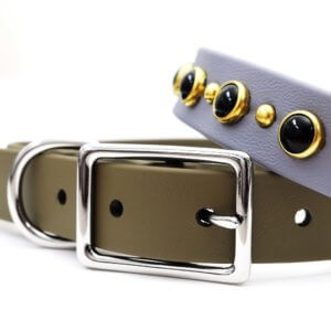 waterproof black gem studded collar (detail)