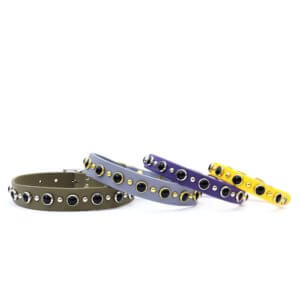 waterproof black gem studded collar johnny
