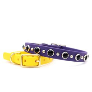 waterproof black gem studded collar johnny