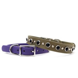 waterproof black gem studded collar johnny